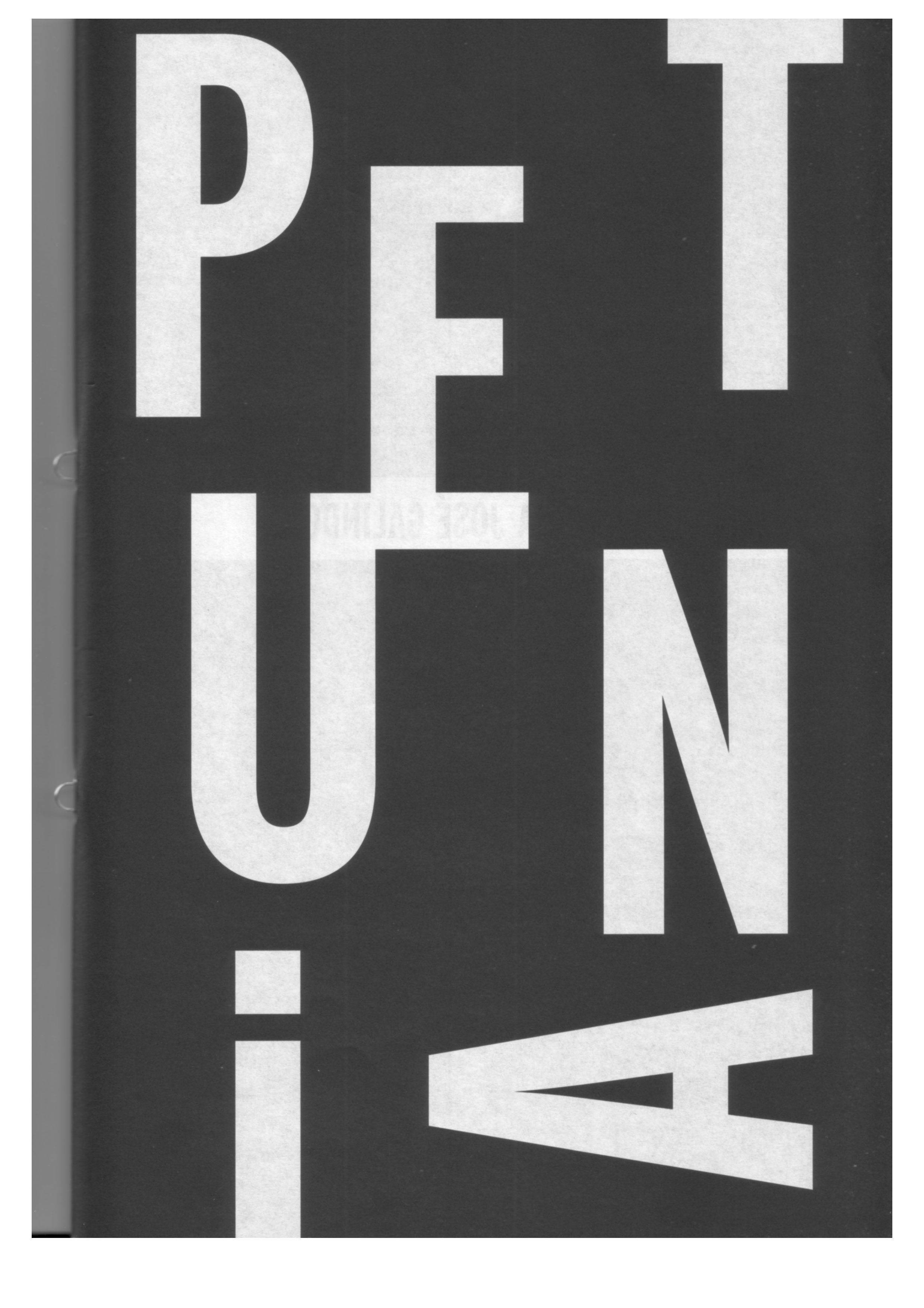 « Il faut que je me dépêche d&rsquo;écrire ce petit texte » (Pétunia #2)